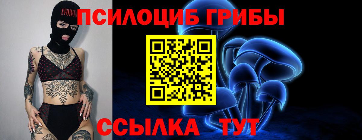 Псилоцибиновые грибы мухоморы Сальск