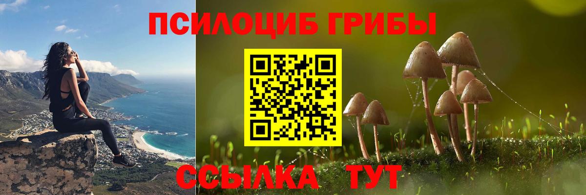 купить наркоту  Галлюциногенные грибы GOLDEN TEACHER  Вход с VPN  Сальск 