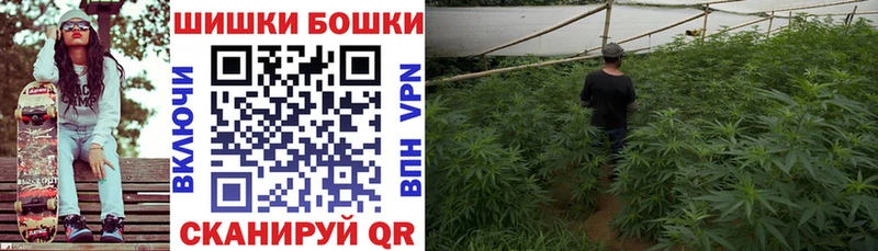 Конопля White Widow  закладки  Сальск 